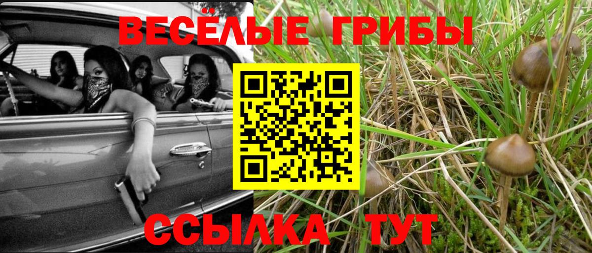 Галлюциногенные грибы ЛСД  Вход с VPN  где найти наркотики  Бор 